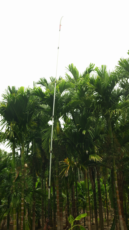 25 Feet Tree Pruner | Long Reach Coconut Tree Branch Cutter