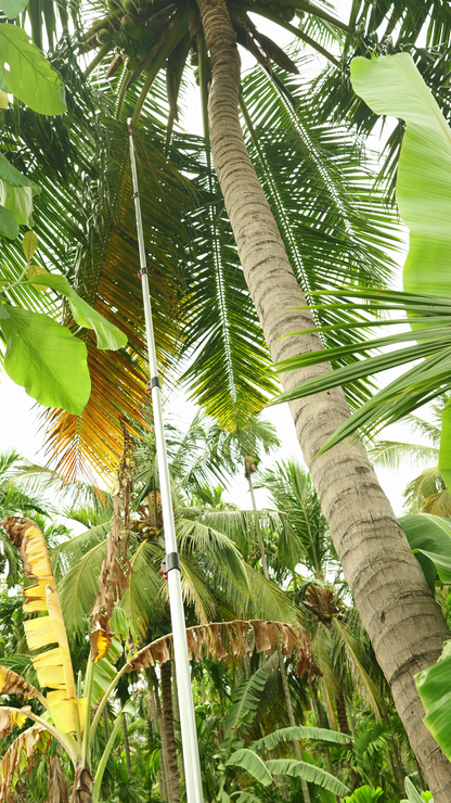25 Feet Tree Pruner | Long Reach Coconut Tree Branch Cutter