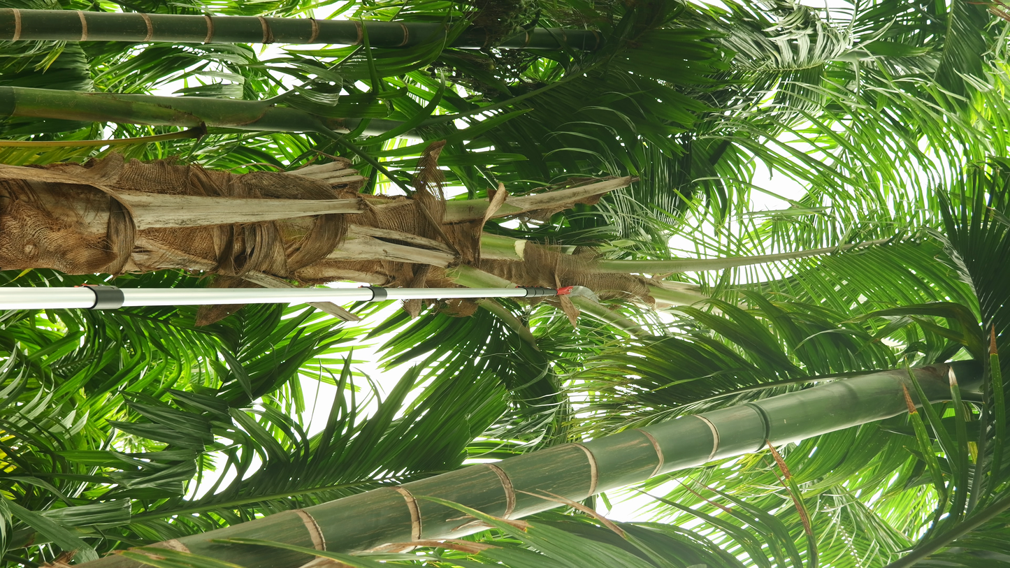 25 Feet Tree Pruner | Long Reach Coconut Tree Branch Cutter
