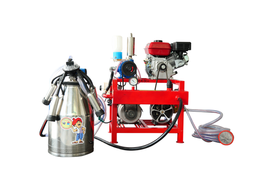 HTP PIPE LINE MODEL(SINGLE CAN )