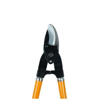 CUTTER-1