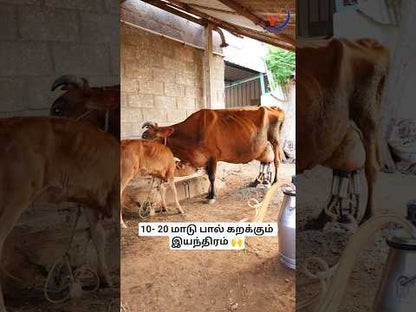 PIPELINE DOUBLE CAN MILKING MACHINE (SINGLE CAN)