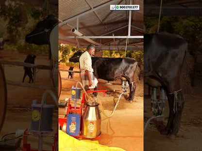 Piston Type Milking Machine | Dairy Farm Milking Machine